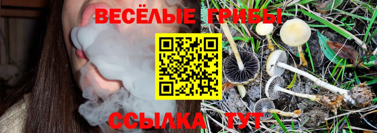 Меф мяу мяу Рязань